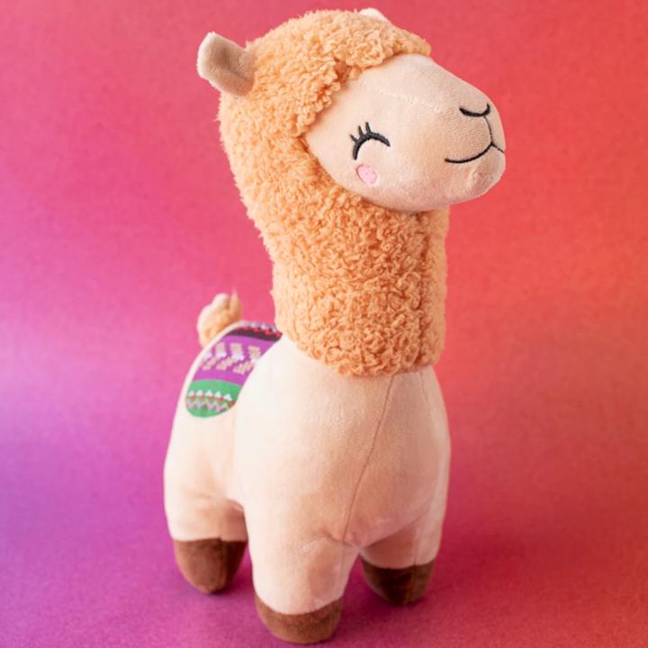 12 Rosas Rojas con Llama de Peluche