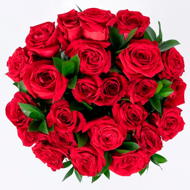 Ramo de 24 Rosas Rojas