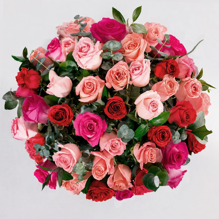 Arreglo de 50 Rosas Combinadas