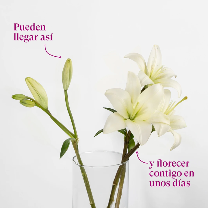 Kit cumpleañero con Vino Rosado Personalizado