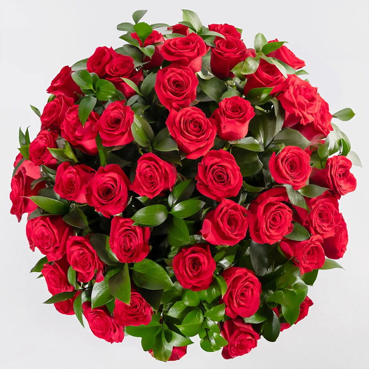 Clásico Amor con 50 rosas rojas
