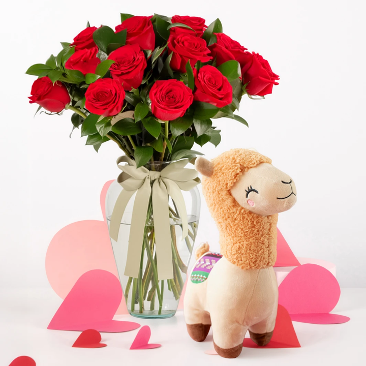 12 Rosas Rojas con Llama de Peluche