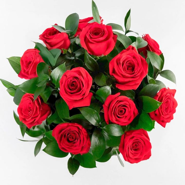 12 Rosas Rojas con Llama de Peluche