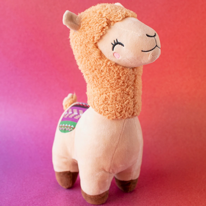 12 Rosas Rojas con Llama de Peluche
