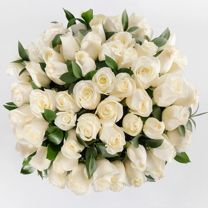 50 Rosas Blancas en jarrón